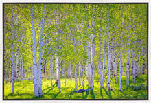 Load image into Gallery viewer, Early Morning Light in the Wasatch Backcountry
