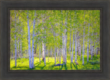Load image into Gallery viewer, Early Morning Light in the Wasatch Backcountry
