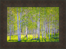 Load image into Gallery viewer, Early Morning Light in the Wasatch Backcountry

