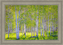 Load image into Gallery viewer, Early Morning Light in the Wasatch Backcountry

