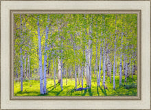 Load image into Gallery viewer, Early Morning Light in the Wasatch Backcountry
