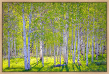 Load image into Gallery viewer, Early Morning Light in the Wasatch Backcountry
