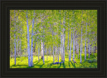 Load image into Gallery viewer, Early Morning Light in the Wasatch Backcountry
