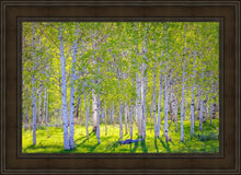 Load image into Gallery viewer, Early Morning Light in the Wasatch Backcountry
