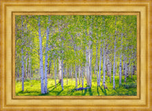 Load image into Gallery viewer, Early Morning Light in the Wasatch Backcountry
