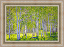 Load image into Gallery viewer, Early Morning Light in the Wasatch Backcountry
