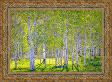 Load image into Gallery viewer, Early Morning Light in the Wasatch Backcountry
