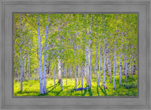 Load image into Gallery viewer, Early Morning Light in the Wasatch Backcountry
