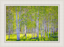 Load image into Gallery viewer, Early Morning Light in the Wasatch Backcountry
