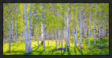 Load image into Gallery viewer, Early Morning Light in the Wasatch Backcountry
