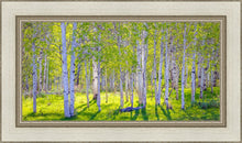 Load image into Gallery viewer, Early Morning Light in the Wasatch Backcountry
