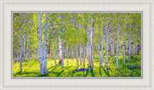 Load image into Gallery viewer, Early Morning Light in the Wasatch Backcountry
