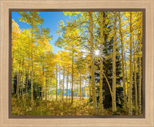 Load image into Gallery viewer, Autumn in the Rocky Mountains, Wasatch National Forest, Utah
