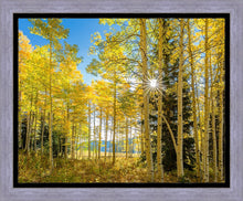 Load image into Gallery viewer, Autumn in the Rocky Mountains, Wasatch National Forest, Utah
