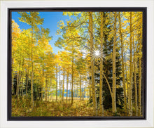 Load image into Gallery viewer, Autumn in the Rocky Mountains, Wasatch National Forest, Utah
