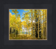 Load image into Gallery viewer, Autumn in the Rocky Mountains, Wasatch National Forest, Utah
