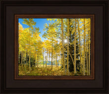 Load image into Gallery viewer, Autumn in the Rocky Mountains, Wasatch National Forest, Utah
