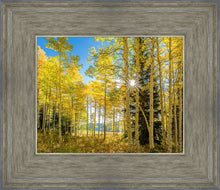 Load image into Gallery viewer, Autumn in the Rocky Mountains, Wasatch National Forest, Utah
