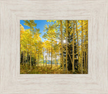 Load image into Gallery viewer, Autumn in the Rocky Mountains, Wasatch National Forest, Utah
