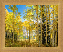 Load image into Gallery viewer, Autumn in the Rocky Mountains, Wasatch National Forest, Utah

