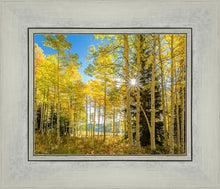 Load image into Gallery viewer, Autumn in the Rocky Mountains, Wasatch National Forest, Utah
