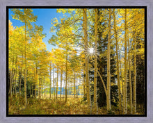 Load image into Gallery viewer, Autumn in the Rocky Mountains, Wasatch National Forest, Utah

