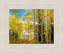 Load image into Gallery viewer, Autumn in the Rocky Mountains, Wasatch National Forest, Utah
