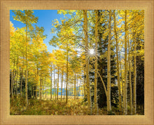 Load image into Gallery viewer, Autumn in the Rocky Mountains, Wasatch National Forest, Utah
