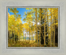 Load image into Gallery viewer, Autumn in the Rocky Mountains, Wasatch National Forest, Utah
