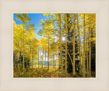 Load image into Gallery viewer, Autumn in the Rocky Mountains, Wasatch National Forest, Utah
