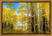 Load image into Gallery viewer, Autumn in the Rocky Mountains, Wasatch National Forest, Utah
