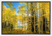 Load image into Gallery viewer, Autumn in the Rocky Mountains, Wasatch National Forest, Utah
