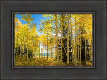 Load image into Gallery viewer, Autumn in the Rocky Mountains, Wasatch National Forest, Utah
