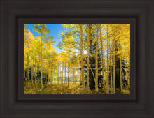 Load image into Gallery viewer, Autumn in the Rocky Mountains, Wasatch National Forest, Utah
