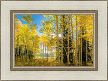 Load image into Gallery viewer, Autumn in the Rocky Mountains, Wasatch National Forest, Utah
