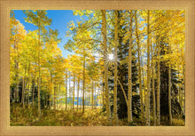Load image into Gallery viewer, Autumn in the Rocky Mountains, Wasatch National Forest, Utah
