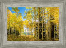 Load image into Gallery viewer, Autumn in the Rocky Mountains, Wasatch National Forest, Utah
