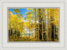 Load image into Gallery viewer, Autumn in the Rocky Mountains, Wasatch National Forest, Utah
