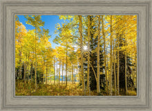Load image into Gallery viewer, Autumn in the Rocky Mountains, Wasatch National Forest, Utah
