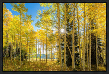 Load image into Gallery viewer, Autumn in the Rocky Mountains, Wasatch National Forest, Utah
