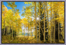 Load image into Gallery viewer, Autumn in the Rocky Mountains, Wasatch National Forest, Utah
