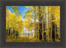 Load image into Gallery viewer, Autumn in the Rocky Mountains, Wasatch National Forest, Utah
