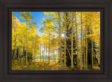 Load image into Gallery viewer, Autumn in the Rocky Mountains, Wasatch National Forest, Utah
