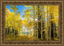Load image into Gallery viewer, Autumn in the Rocky Mountains, Wasatch National Forest, Utah
