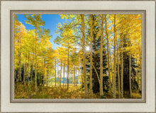Load image into Gallery viewer, Autumn in the Rocky Mountains, Wasatch National Forest, Utah
