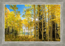 Load image into Gallery viewer, Autumn in the Rocky Mountains, Wasatch National Forest, Utah
