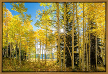 Load image into Gallery viewer, Autumn in the Rocky Mountains, Wasatch National Forest, Utah
