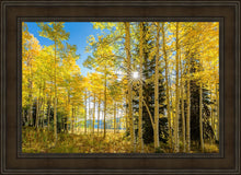 Load image into Gallery viewer, Autumn in the Rocky Mountains, Wasatch National Forest, Utah
