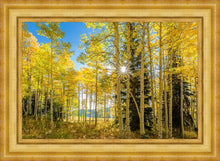 Load image into Gallery viewer, Autumn in the Rocky Mountains, Wasatch National Forest, Utah
