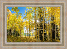 Load image into Gallery viewer, Autumn in the Rocky Mountains, Wasatch National Forest, Utah

